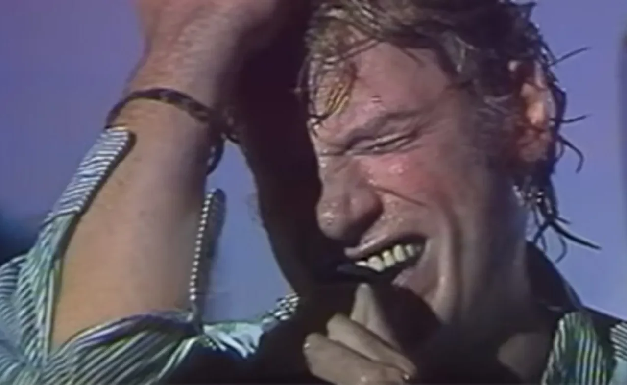 Johnny Hallyday L'envie